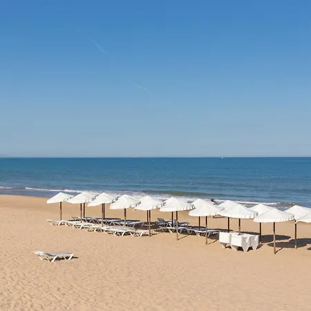 Sandy Coast