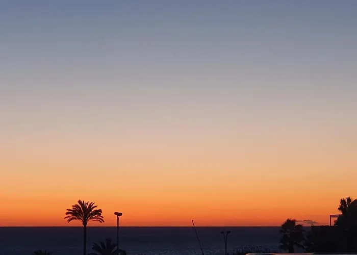 فيلة Sandy Coast